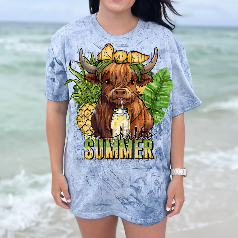 Hello Summer pineapple and brown highland cow - DTF TRANSFER ONLY * SSD