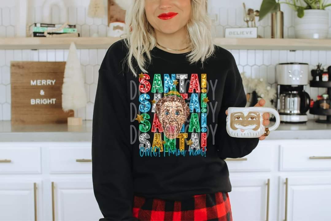 SANTA Elf Sequins: DTF TRANSFER ONLY (TED)